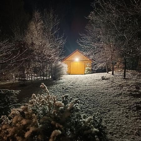 Villa Lupus - Apartament Z Prywatna Sauna Schreiberhau Exterior foto